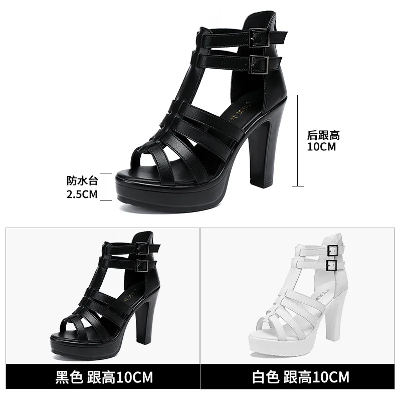 Gladiator-Damenschuh für Damen – Peep Toe Heels Bewertung und Preis